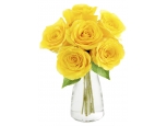 Stollen Kisses - 6 Stems Vase